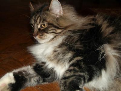 Прикрепленное изображение: DSCF0113.JPG